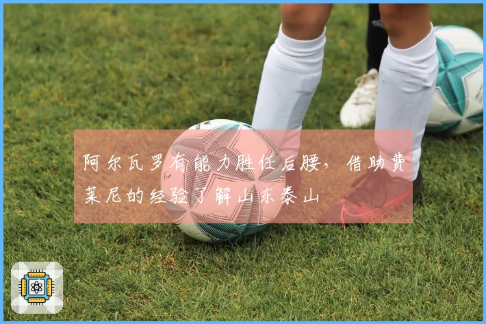 阿尔瓦罗有能力胜任后腰，借助费莱尼的经验了解山东泰山