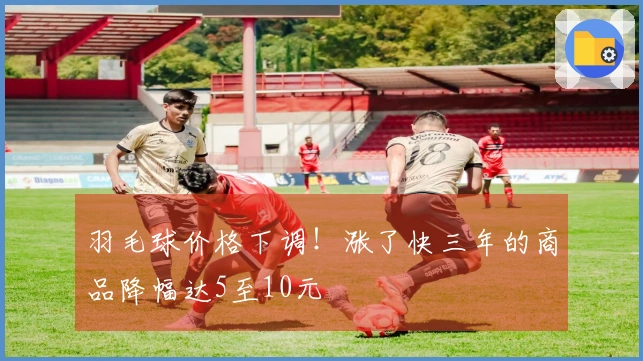 羽毛球价格下调！涨了快三年的商品降幅达5至10元