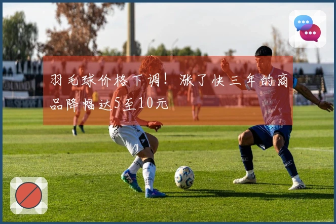 羽毛球价格下调！涨了快三年的商品降幅达5至10元